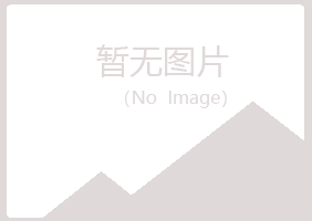 黑山县梦琪工程有限公司